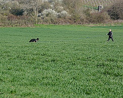 Frühjahrsprüfung_März_2019_DSC_1378