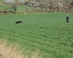 Frühjahrsprüfung_März_2019_DSC_1379