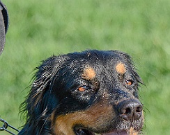 Frühjahrsprüfung_März_2019_DSC_1382