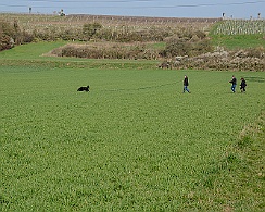 Frühjahrsprüfung_März_2019_DSC_1387