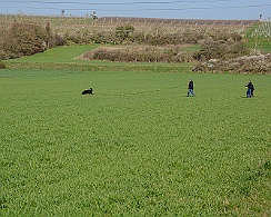 Frühjahrsprüfung_März_2019_DSC_1388