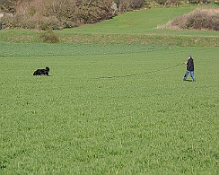 Frühjahrsprüfung_März_2019_DSC_1389