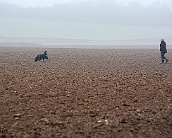 Herbstpruefung_November_2019_DSC_4404-20191204
