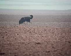 Herbstpruefung_November_2019_DSC_4406-20191204