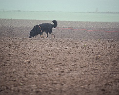 Herbstpruefung_November_2019_DSC_4407-20191204