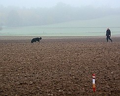 Herbstpruefung_November_2019_DSC_4408-20191204