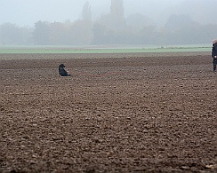 Herbstpruefung_November_2019_DSC_4409-20191204