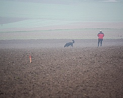 Herbstpruefung_November_2019_DSC_4418-20191204