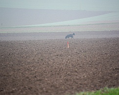 Herbstpruefung_November_2019_DSC_4419-20191204
