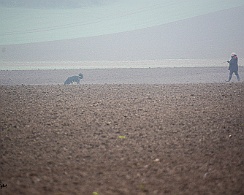 Herbstpruefung_November_2019_DSC_4422-20191204