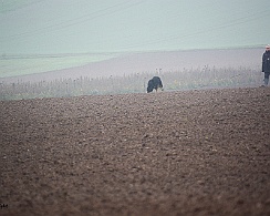 Herbstpruefung_November_2019_DSC_4426-20191204