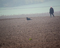 Herbstpruefung_November_2019_DSC_4428-20191204