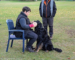 ABC_Trainingswochenende_Oktober_2020_DSC_6067