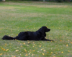ABC_Trainingswochenende_Oktober_2020_DSC_6074