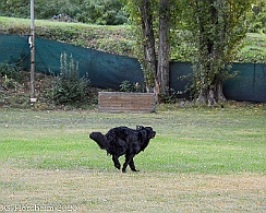 ABC_Trainingswochenende_Oktober_2020_DSC_6077