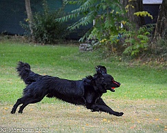 ABC_Trainingswochenende_Oktober_2020_DSC_6082