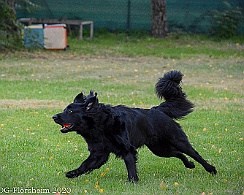 ABC_Trainingswochenende_Oktober_2020_DSC_6084