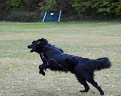 ABC_Trainingswochenende_Oktober_2020_DSC_6090