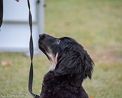 ABC_Trainingswochenende_Oktober_2020_DSC_6095