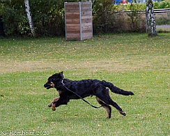 ABC_Trainingswochenende_Oktober_2020_DSC_6099