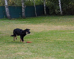 ABC_Trainingswochenende_Oktober_2020_DSC_6101
