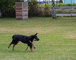 ABC_Trainingswochenende_Oktober_2020_DSC_6103
