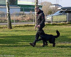 Workshop_Ollmann_Maerz_2020_DSC_5147