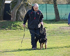 Workshop_Ollmann_Maerz_2020_DSC_5160