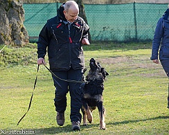 Workshop_Ollmann_Maerz_2020_DSC_5161