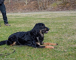 Workshop_Ollmann_Maerz_2020_DSC_5168