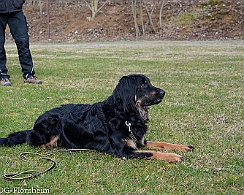 Workshop_Ollmann_Maerz_2020_DSC_5169