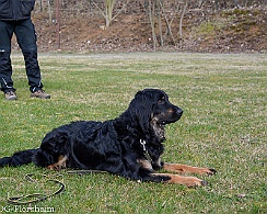 Workshop_Ollmann_Maerz_2020_DSC_5170