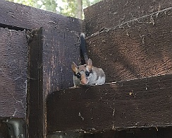 IMG_20210723_161604_edit_1011337699231097