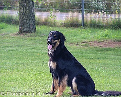 Trainingswochenende_2021_07_10_FD1A0420