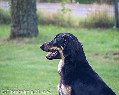 Trainingswochenende_2021_07_10_FD1A0422