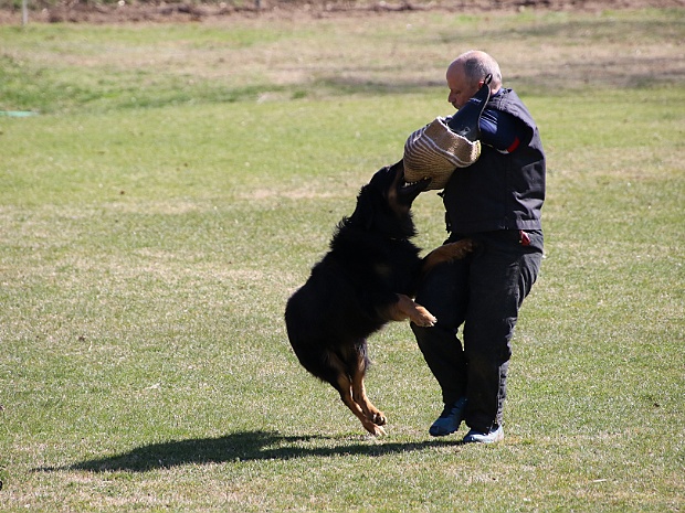 Fruehjahrspruefung 2022