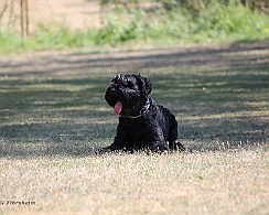 Fun_Pokal_2022_FD1A4495-20220813