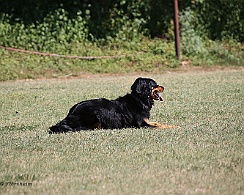 Fun_Pokal_2022_FD1A4502-20220813