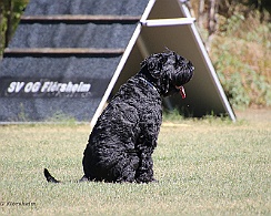 Fun_Pokal_2022_FD1A4512-20220813