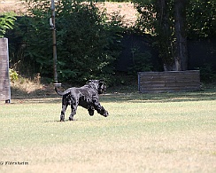 Fun_Pokal_2022_FD1A4516-20220813