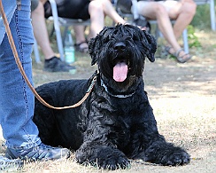 Fun_Pokal_2022_FD1A4519-20220813