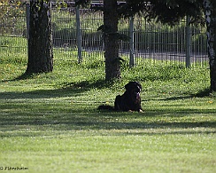 Herbstpruefung_Oktober_2022_FD1A6009-20221030