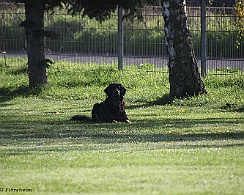 Herbstpruefung_Oktober_2022_FD1A6015-20221030