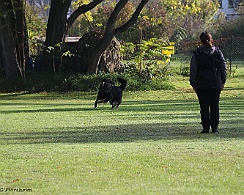 Herbstpruefung_Oktober_2022_FD1A6025-20221030