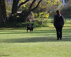 Herbstpruefung_Oktober_2022_FD1A6026-20221030
