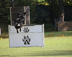 Herbstpruefung_Oktober_2022_FD1A6029-20221030