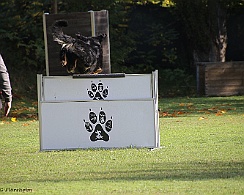 Herbstpruefung_Oktober_2022_FD1A6031-20221030