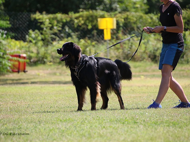 Schutzdienstwochenende Juli