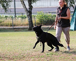 Schutzdienstwochenende_Juli_FD1A3965-20220723