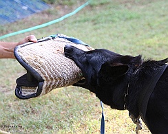 Schutzdienstwochenende_Juli_FD1A3970-20220723